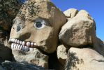 PICTURES/Desert View Tower - Jacumba, CA/t_Big Face.JPG